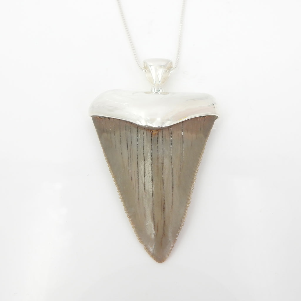 Sterling Silver Fossilized Shark Tooth Pendant