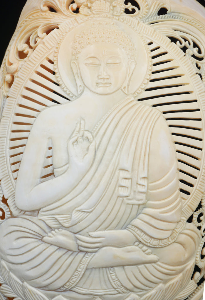 Carved Buddha Shell