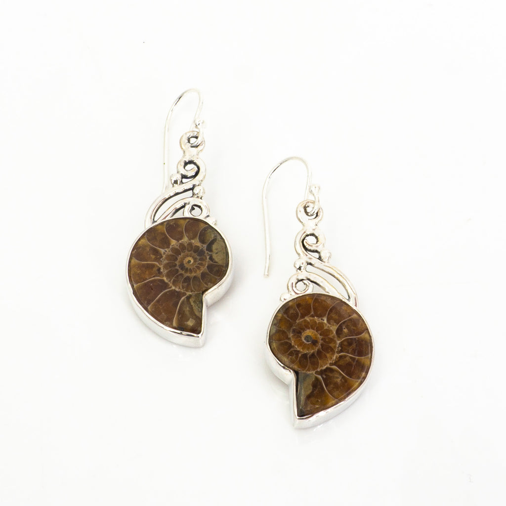 S/S Ammonite Earrings
