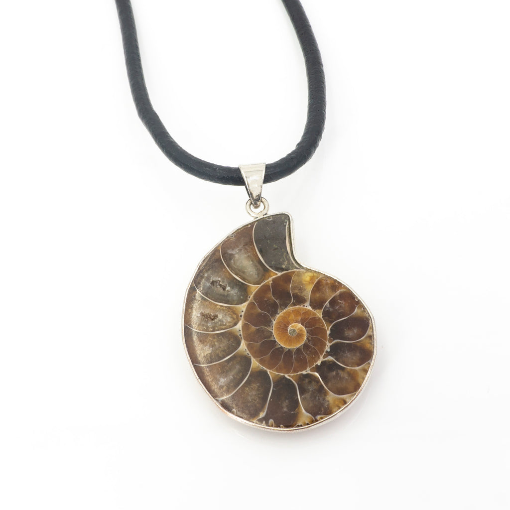 S/S Ammonite On Cord