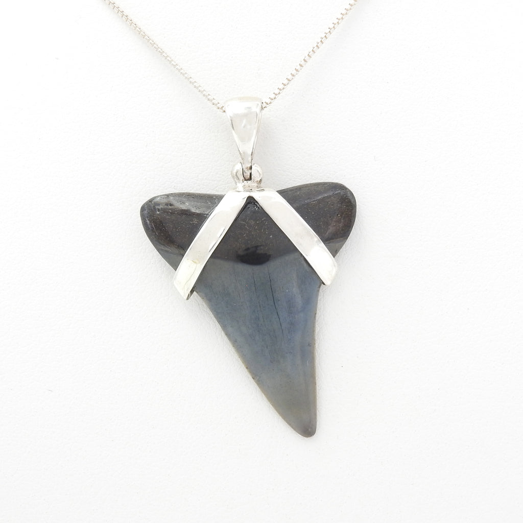Sterling Silver Fossilized Shark Tooth