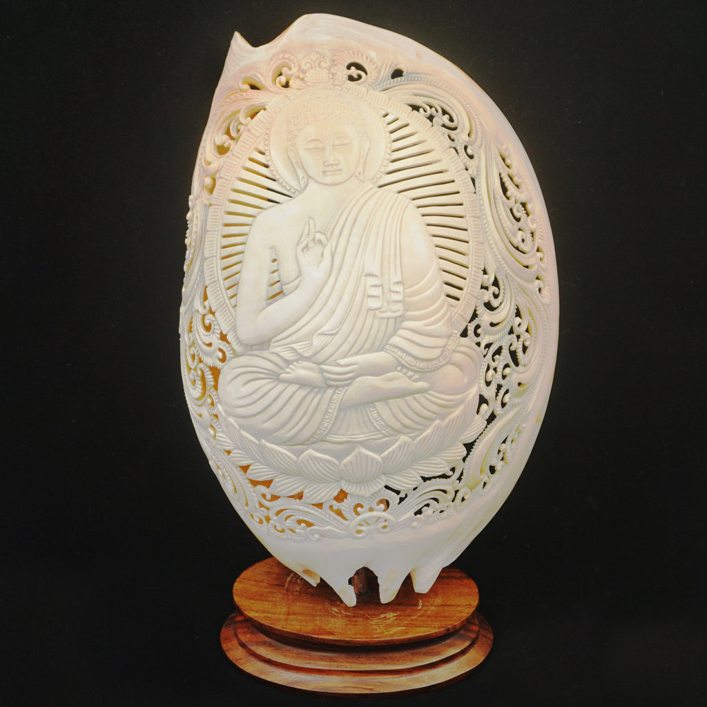 Carved Buddha Shell