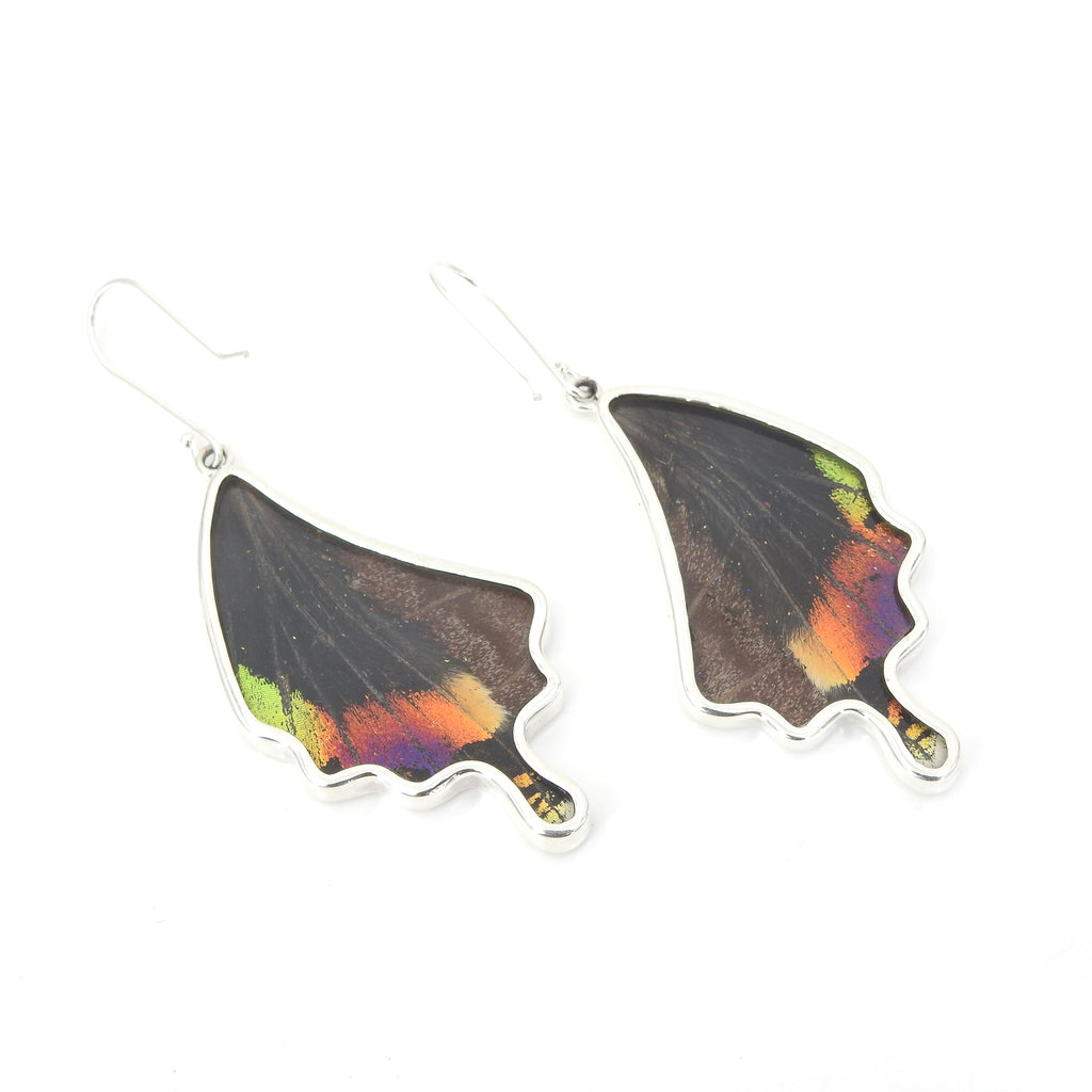Sterling Silver Double Sided Butterfly Wing Earrings