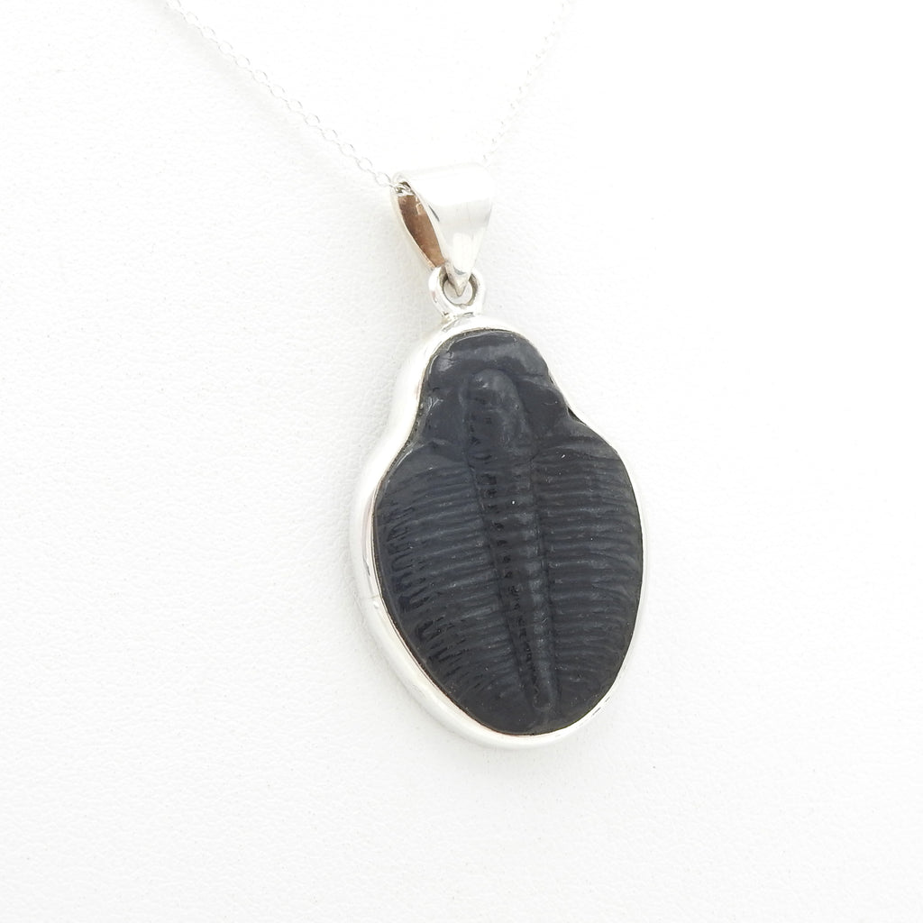 Sterling Silver Large Trilobite Pendant