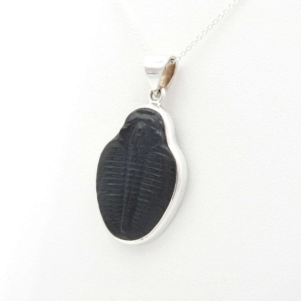 Sterling Silver Large Trilobite Pendant